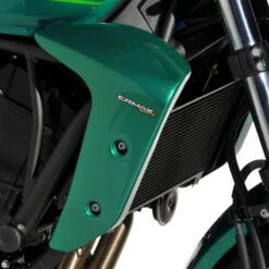 Tapas Laterales Cubreradiador Kawasaki Z650RS 22- Ermax